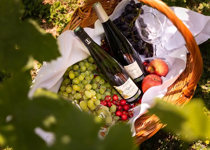 Diana Restaurant&spa By Happyculture Molsheim