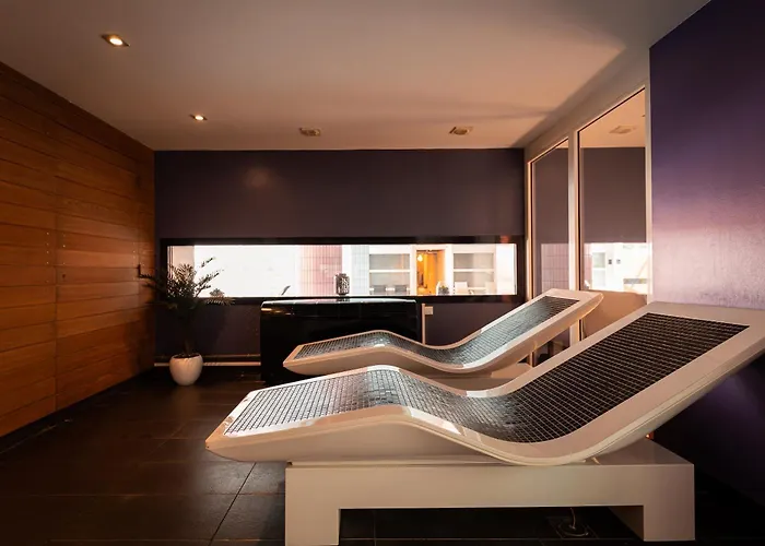 Diana Restaurant&spa By Happyculture 4* Molsheim