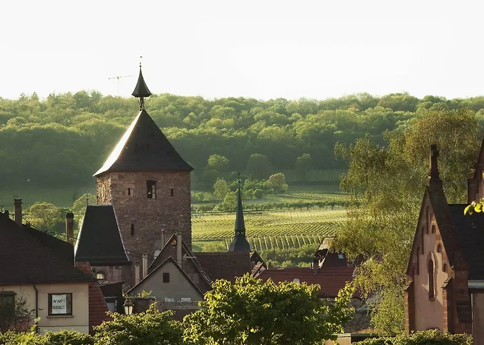 Hotel Diana Restaurant&spa By Happyculture